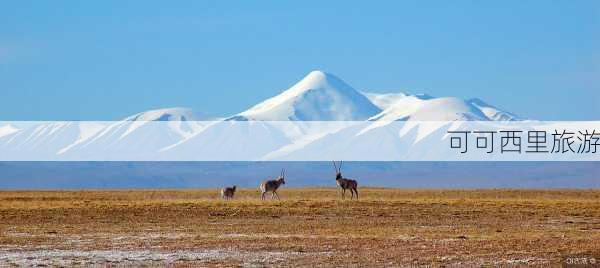 可可西里旅游