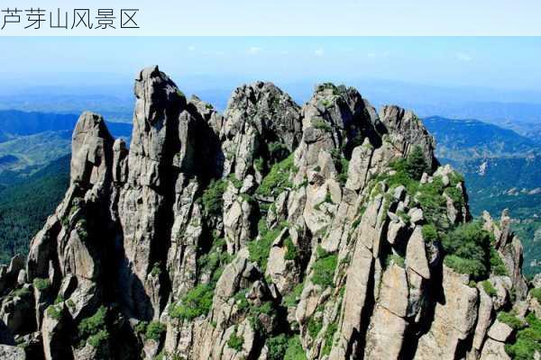 芦芽山风景区