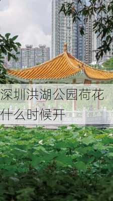 深圳洪湖公园荷花什么时候开