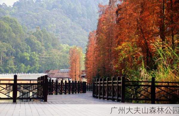 广州大夫山森林公园