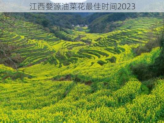 江西婺源油菜花最佳时间2023