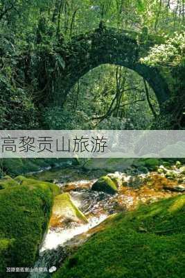 高黎贡山旅游