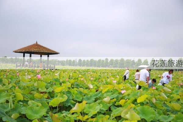 花莲旅游