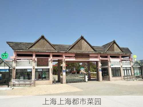 上海上海都市菜园