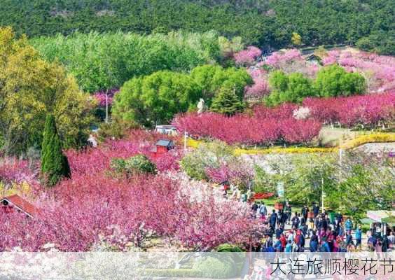 大连旅顺樱花节