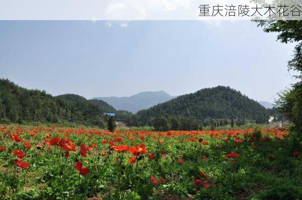 重庆涪陵大木花谷