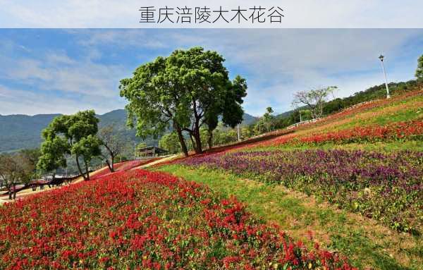 重庆涪陵大木花谷