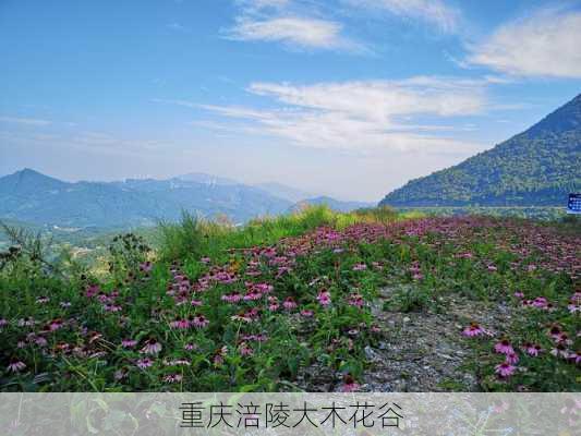 重庆涪陵大木花谷