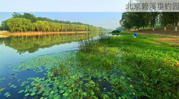 北京碧溪垂钓园