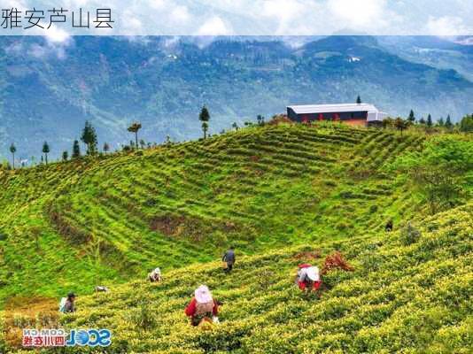 雅安芦山县